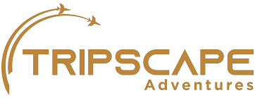 TripsCapeTourism LLC