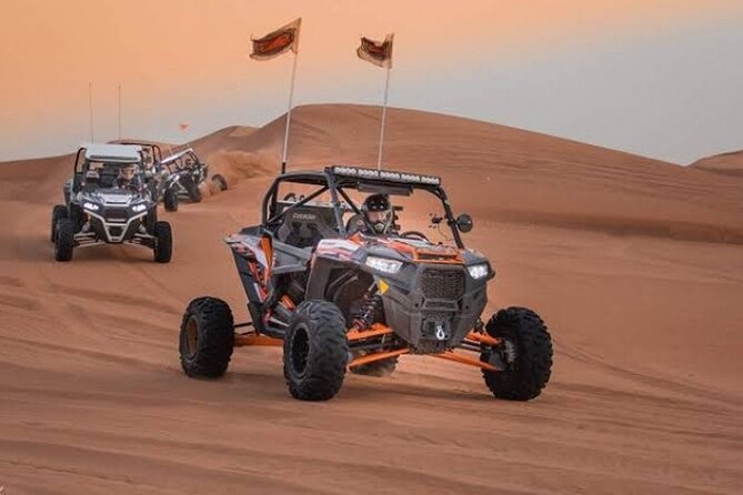 desert safari with one seater dune buggy