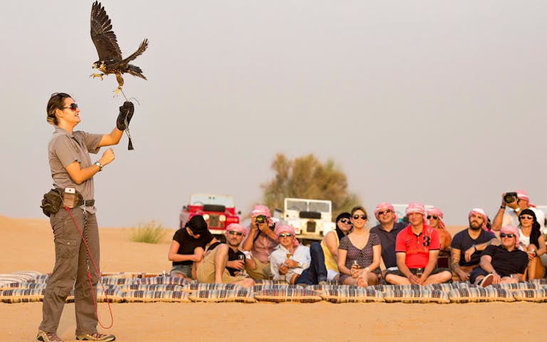 Desert Safari with Falconry Show & Dinner - dubaiguidetours.com