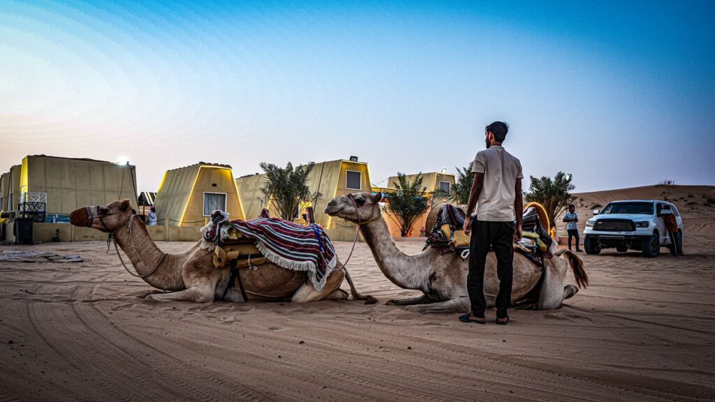 evening quad bike desert safari