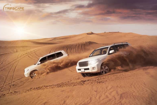 morning desert safari - standard deal - dubaiguidetours.com