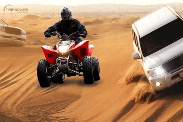 morning desert safari with quad bike - dubaiguidetours.com