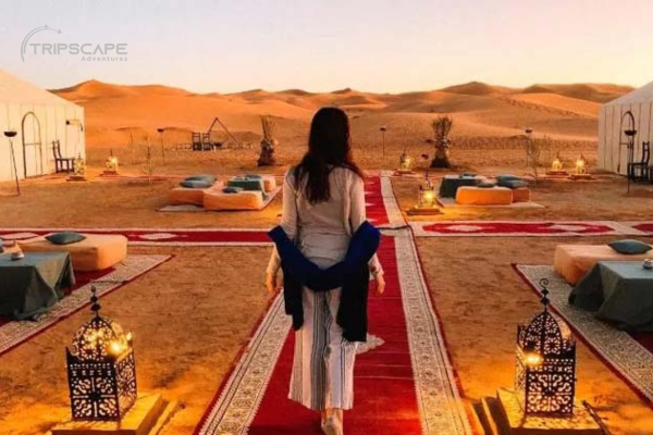 vip private desert safari - dubaiguidetours.com