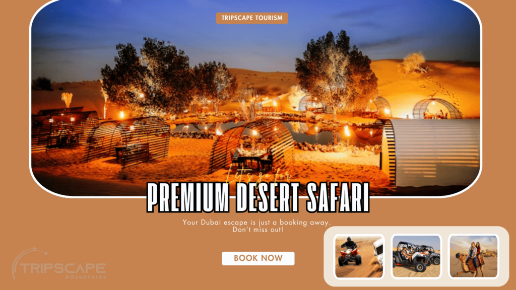 premium desert safari