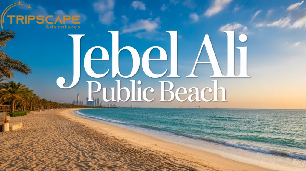 Jebel Ali Public Beach