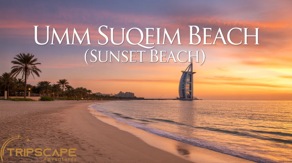 Umm Suqeim Beach (Sunset Beach)