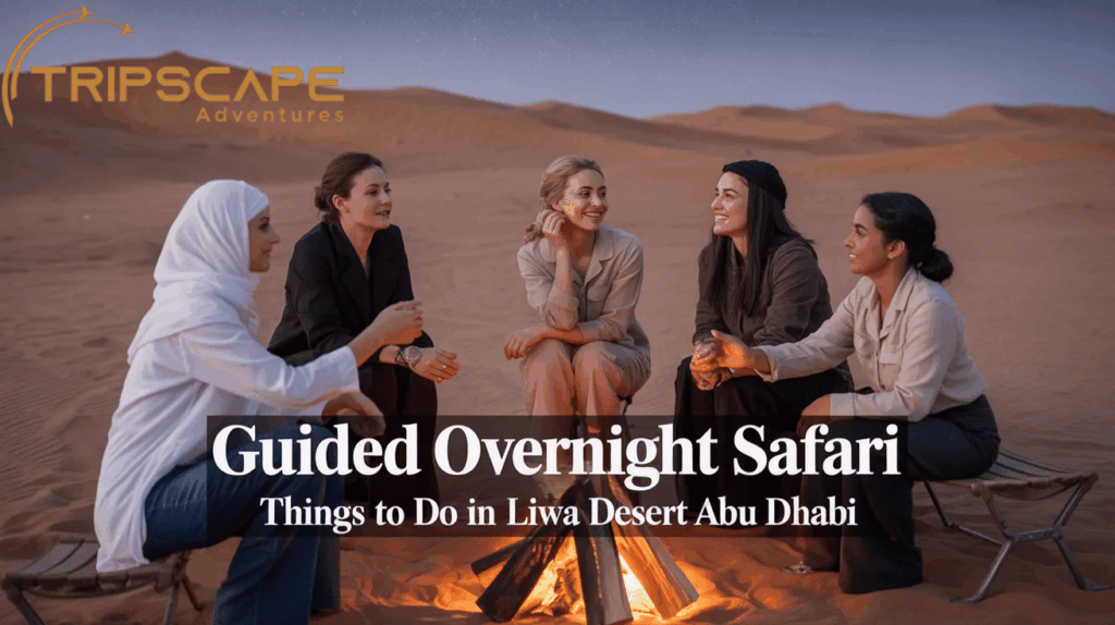 Guided Overnight Safari