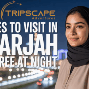 Places to Visit in Sharjah for Free at Night